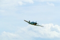 P1020871
