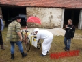 Masopust2019-050