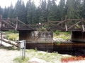 Sumava-2017-074
