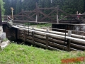 Sumava-2017-079