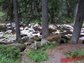 Sumava-2017-094