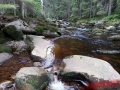 Sumava-2017-114