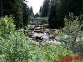 Sumava-2017-125