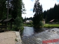 Sumava-2017-149