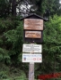 Sumava-2017-175